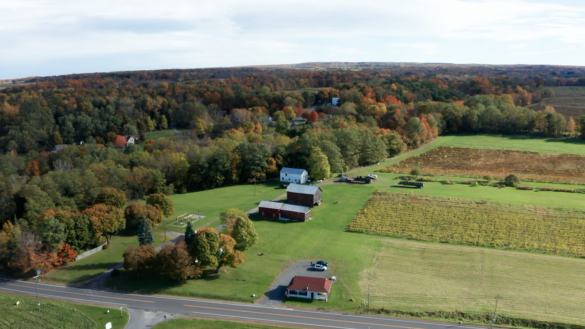 Farm