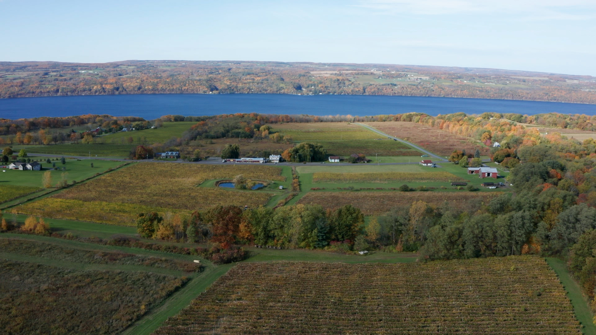 Farm