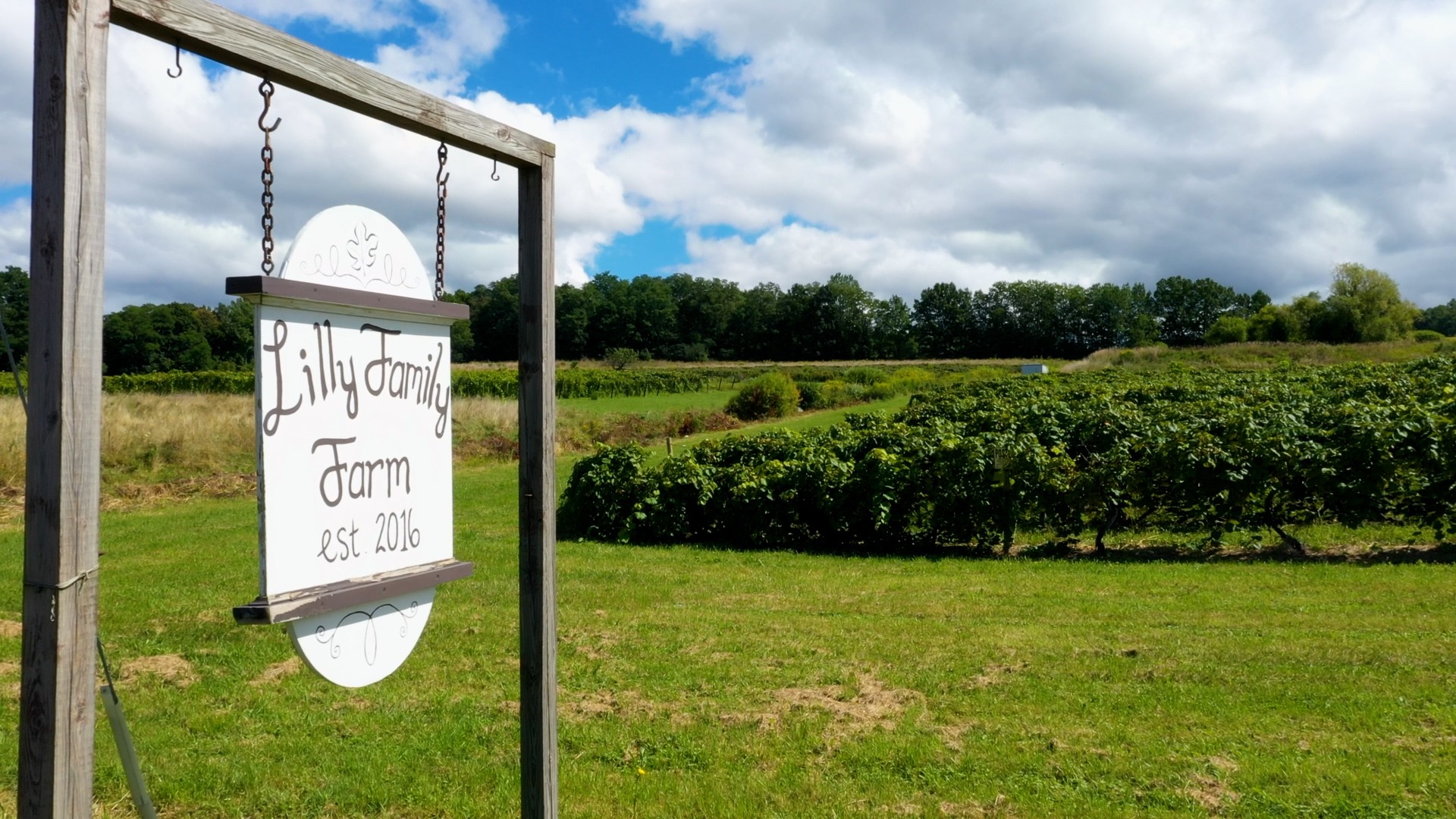 Lilly Family Farm sign
